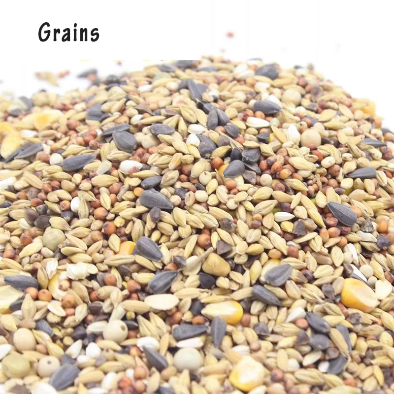 400G Hamster Snack Small Hamster Grain Hamster Staple Food Set Meal Hamster Grain Bread Worm Dried Fish Hamster Snack Molars
