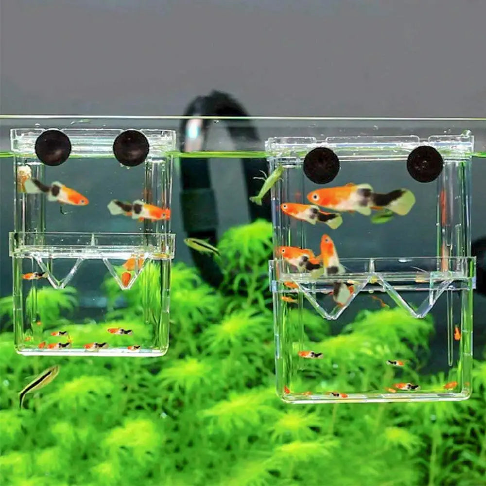 Aquarium Fish Breeder Box Durable Betta Fish Tank Fish Breeding Isolation Box Hatching Incubator Box for Baby Fish Shrimp