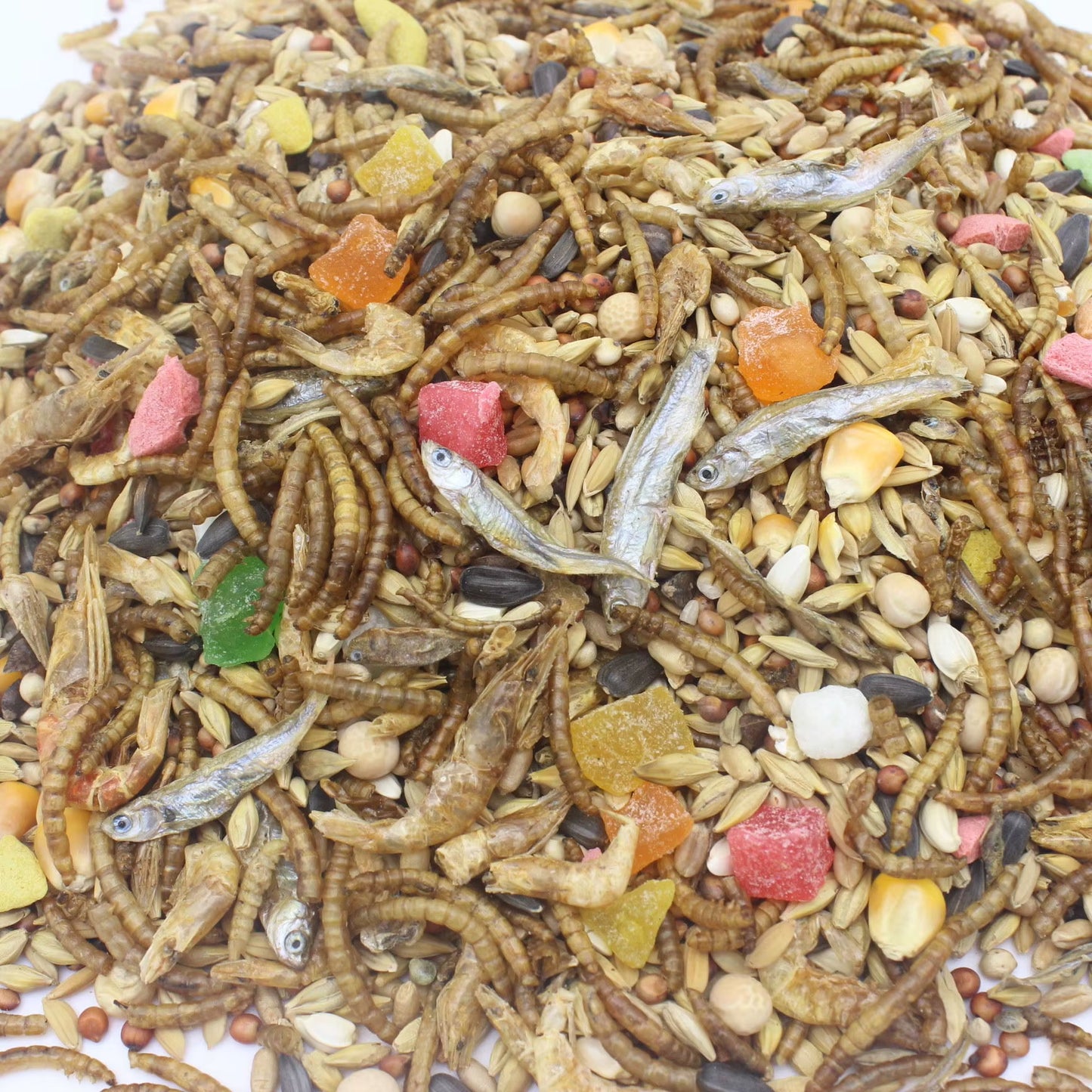 400G Hamster Snack Small Hamster Grain Hamster Staple Food Set Meal Hamster Grain Bread Worm Dried Fish Hamster Snack Molars