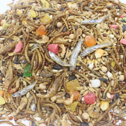 400G Hamster Snack Small Hamster Grain Hamster Staple Food Set Meal Hamster Grain Bread Worm Dried Fish Hamster Snack Molars