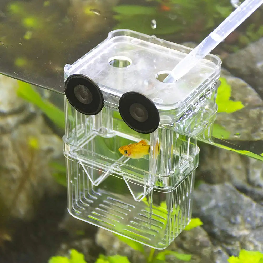 Aquarium Fish Breeder Box Durable Betta Fish Tank Fish Breeding Isolation Box Hatching Incubator Box for Baby Fish Shrimp