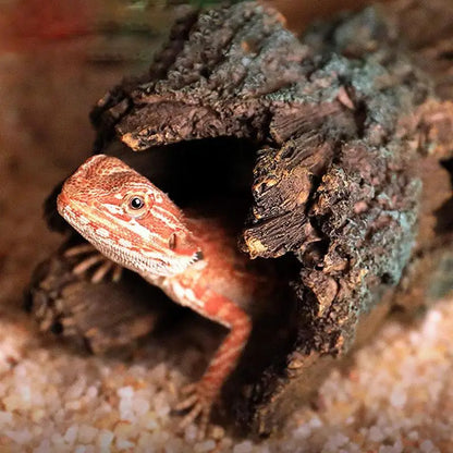 Reptile Hide Large Caves Reptile Hideouts Cave Habitat Shelter Decor for Snakes Turtle Lizards Fish Amphibians Reptile House
